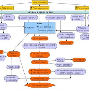 Diabetic Care Supplies - Can You Cure Diabetes Naturally Without Medicine?